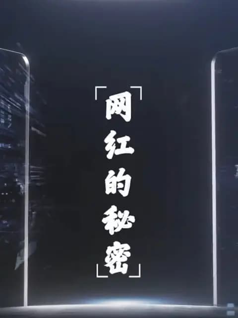 网红的秘密