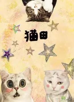 猫田