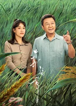 幸福草