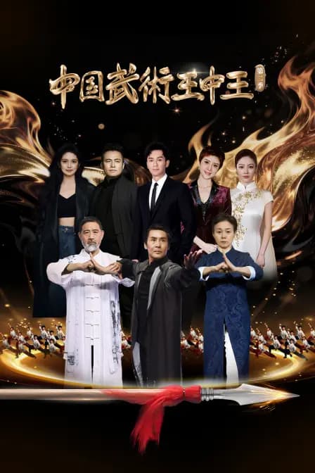 中国武术王中王第二季