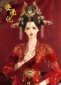 安无忧