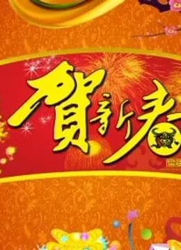 北京BTV春晚