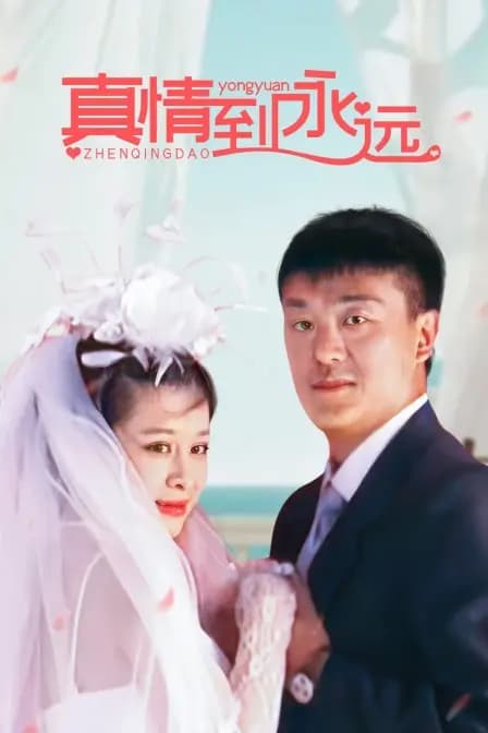 真情到永远