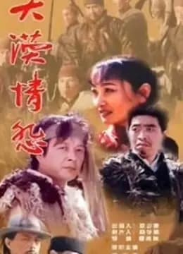 大漠情怨