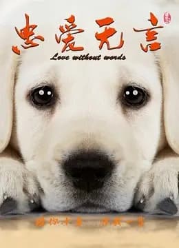忠爱无言