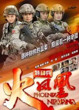特种兵之火凤凰DVD版