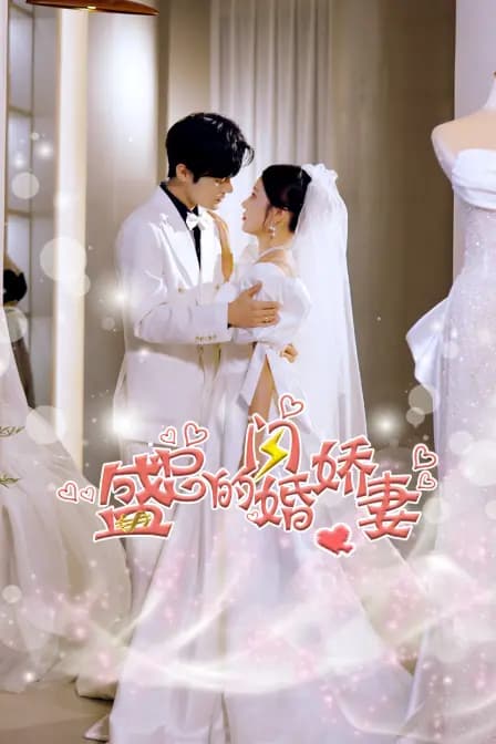盛总的闪婚娇妻
