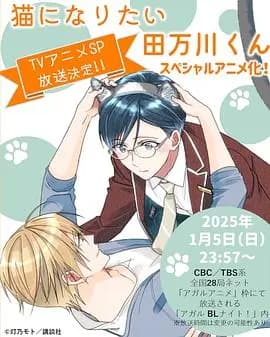 想变成猫的田万川君