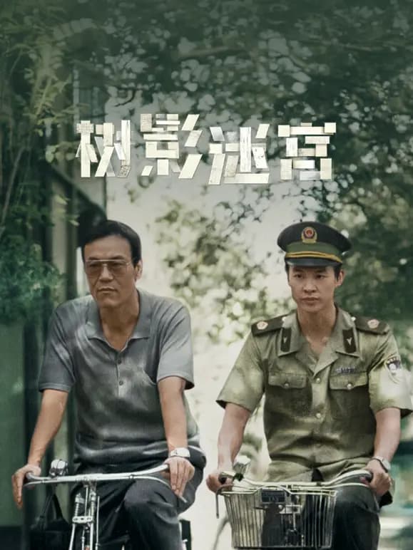 树影迷宫